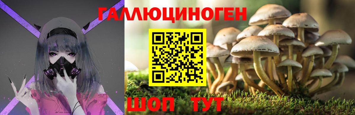 Галлюциногенные грибы Magic Shrooms  Вход с VPN  Галлюциногенные грибы прущие грибы  Чебаркуль 